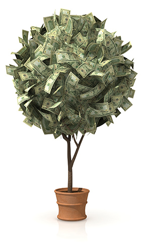 Money Tree